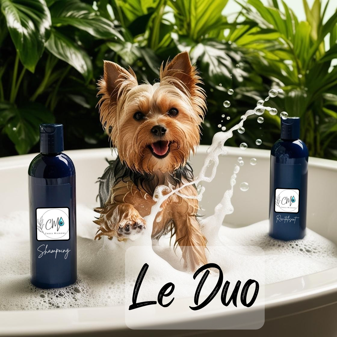 Le Duo shampoing & revitalisant Jojoba