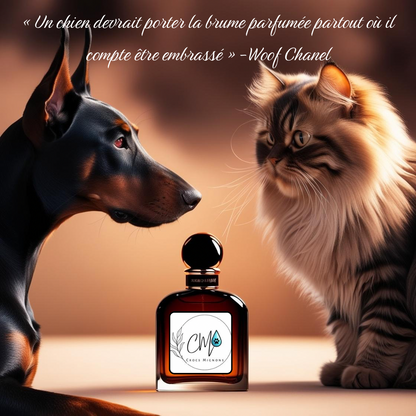 Brume parfumée pour chiens & chats