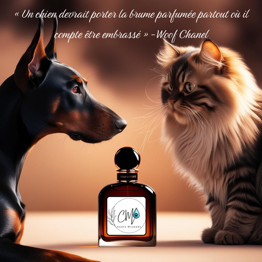 Brume parfumée pour chiens & chats