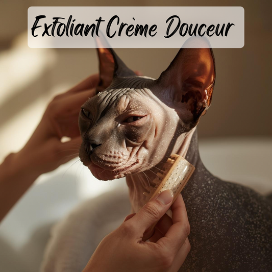 Exfoliant Crème Douceur pour chats sphynx/chiens nus