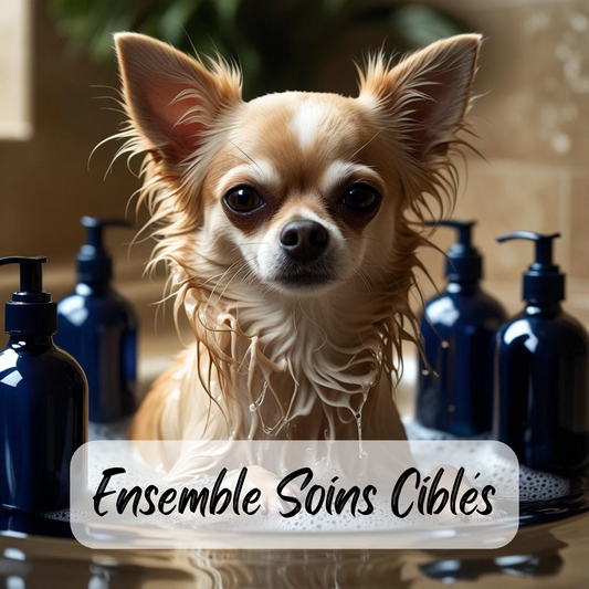 Ensemble Soins Ciblés