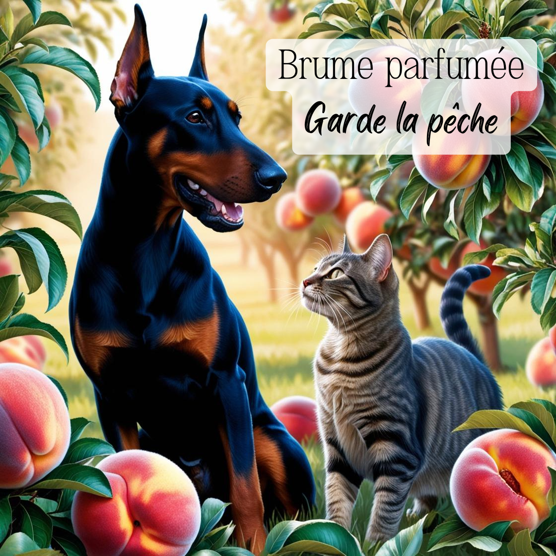 Brume parfumée pour chiens & chats