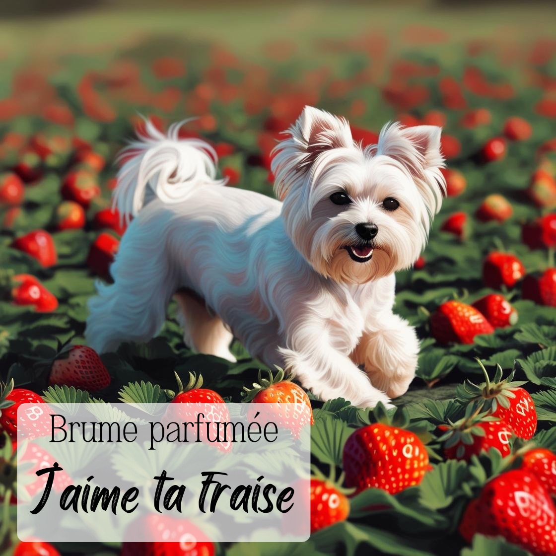 Brume parfumée pour chiens & chats