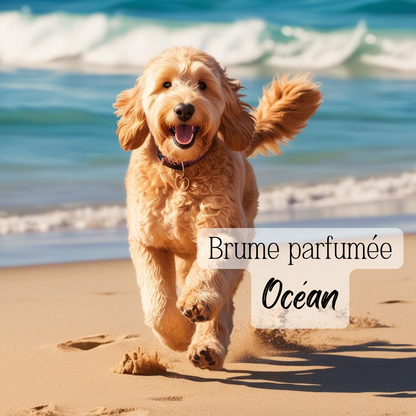 Brume parfumée pour chiens & chats