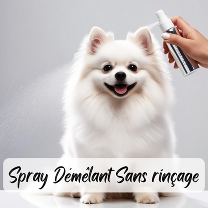 Spray démêlant sans rinçage