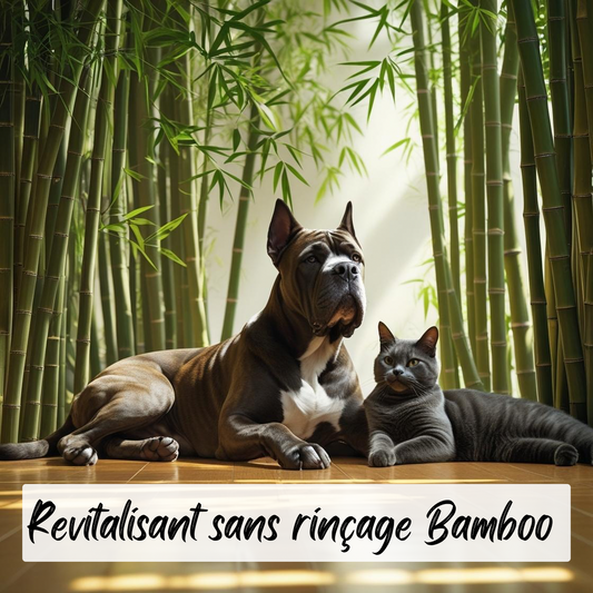 Revitalisant sans rinçage Bamboo