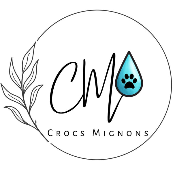 Crocs Mignons