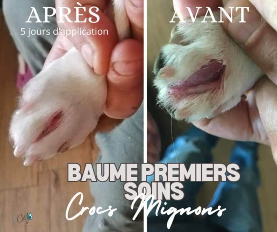 Baume premiers soins Derma Propolis