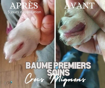 Baume premiers soins Derma Propolis