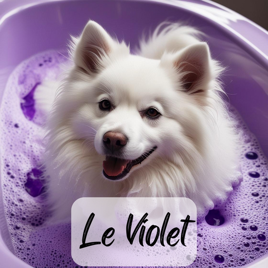 Shampoing blanchissant Le Violet